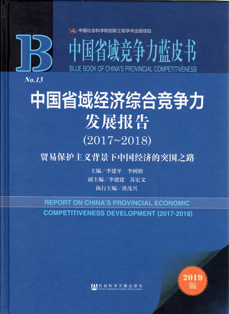 七十岁老骚B观看免费中国省域经济综合竞争力发展报告（2017-2018）